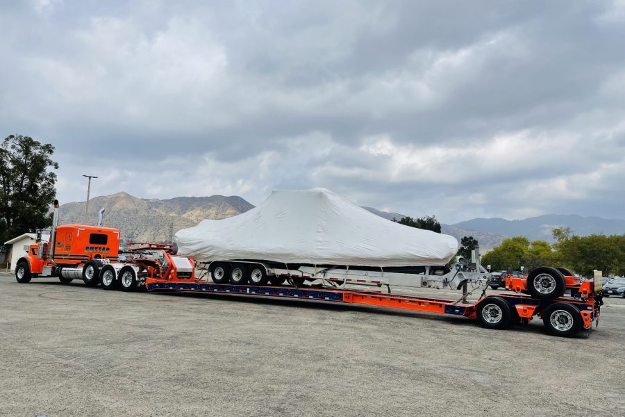 WhatsApp Image 2025-10-31 at 6.01.51 AM